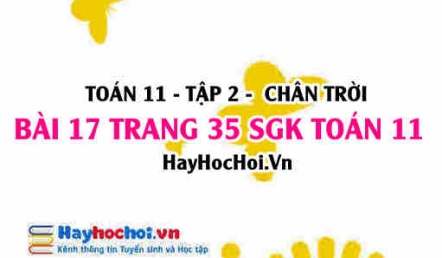 Bài 17 trang 35 Toán 11 tập 2 Chân trời sáng tạo